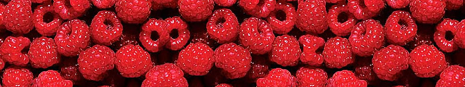 Farm Fresh Raspberries