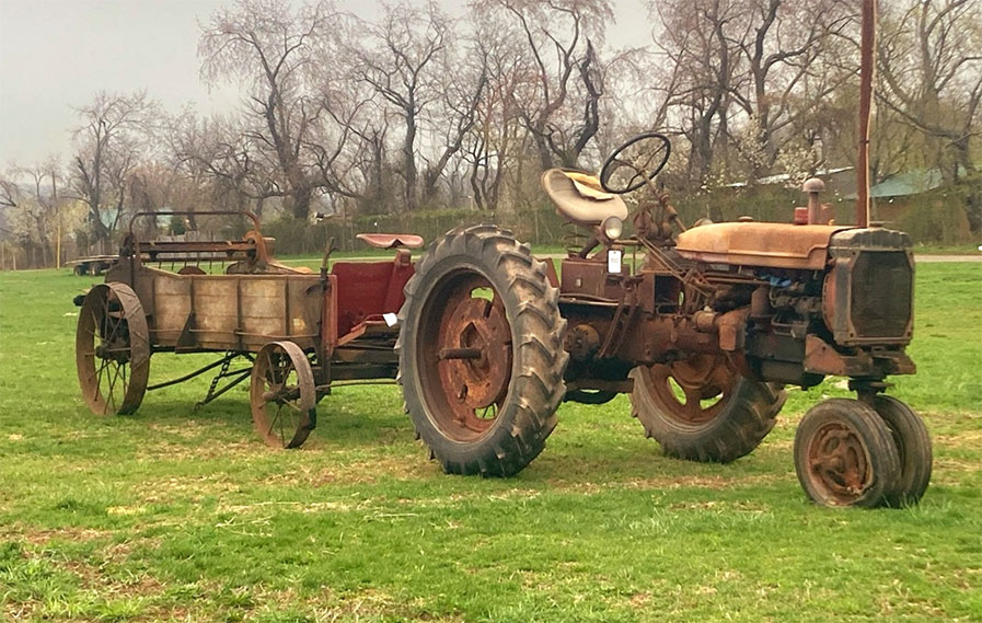 Schaefer Farms Cosignment Auction