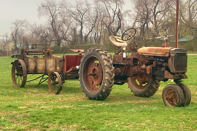 Schaefer Farms Cosignment Auction