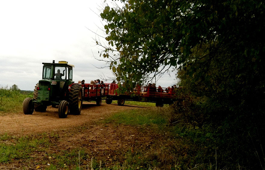 Schaefer Farm Hayrides